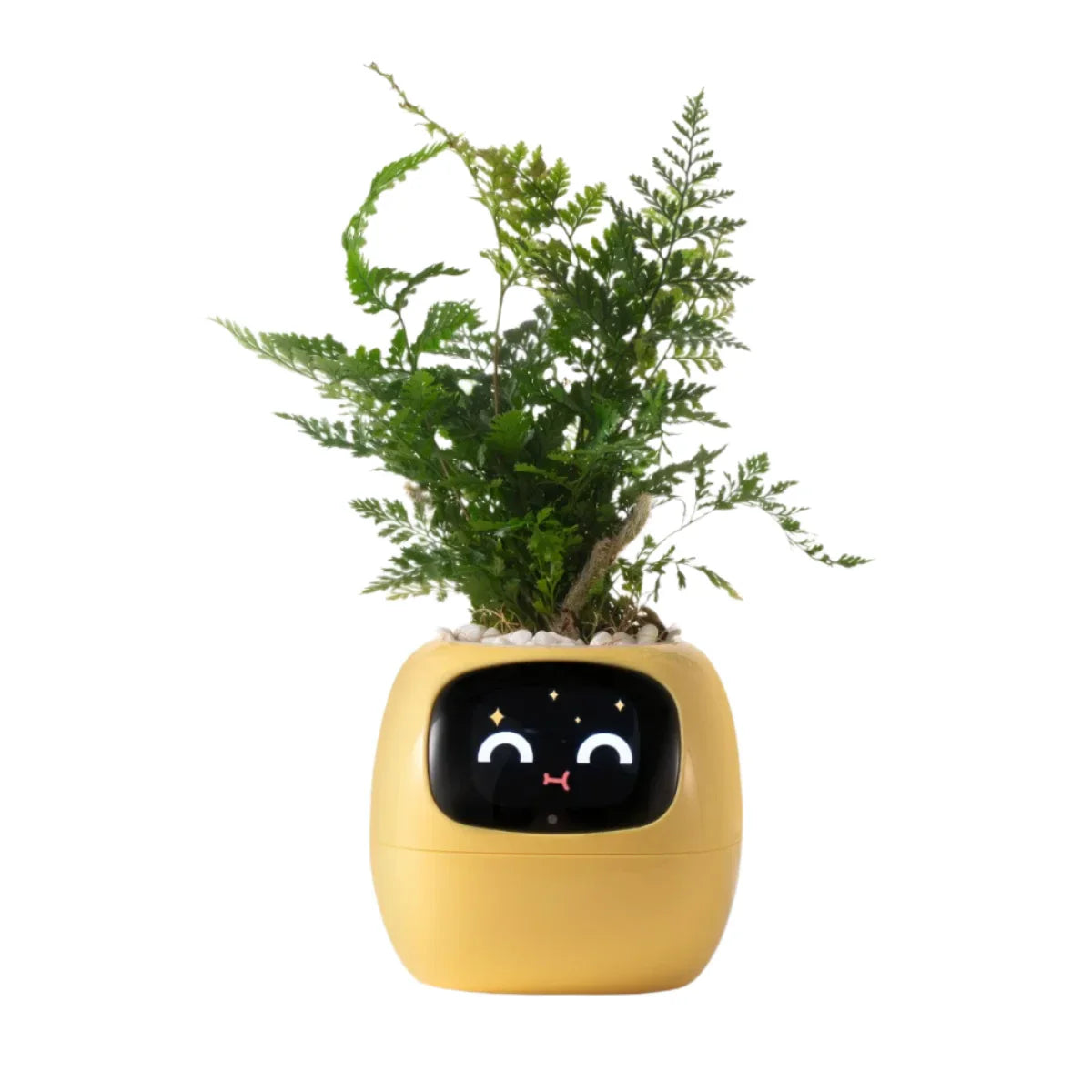 Smart Self-Watering Planter for Indoor Plants