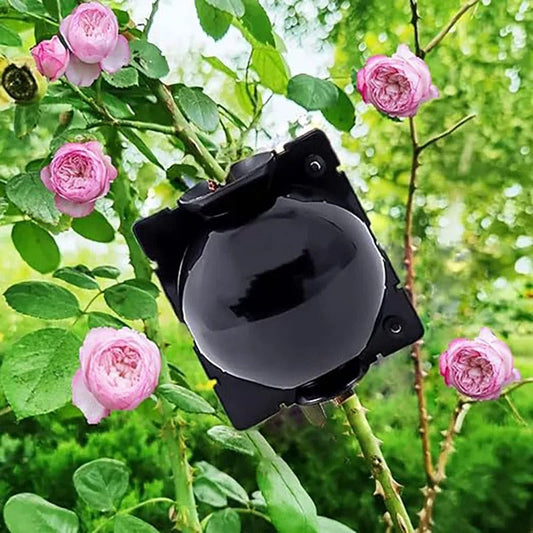 PlantPropa® | Plant Propagation Balls to Quickly Clone Plants